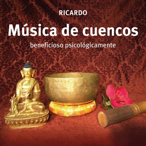 Ricardo - Un Sentimiento de Felicidad Maravilloso, Pt. 2