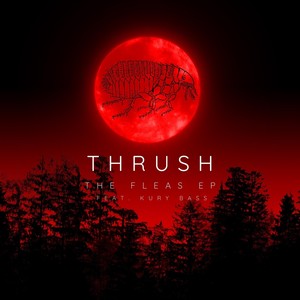 Sleeping with the Fleas [feat. Kury Bass] (Radio Edit)