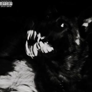 WARDOG (Explicit)