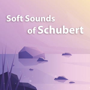 Soft Sounds of Schubert