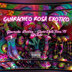 Guaracha Exotica (feat. El Sixko)