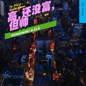 Ty.-高，还没富，但帅 (Gunpowder / Elk remix)