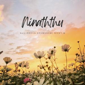 Ninaithu (feat. Nicky.M)
