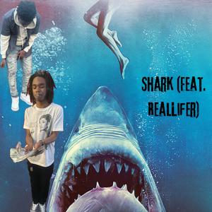 Shark (feat. RealLifer) (Explicit)