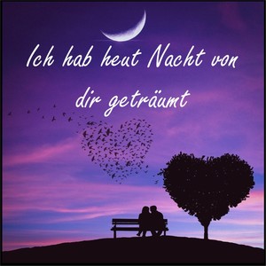 1000 Fragen in der Nacht (伴奏)