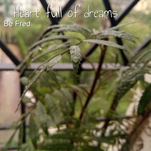 Heart Full of Dreams