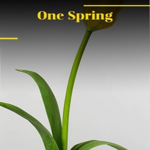 One Spring