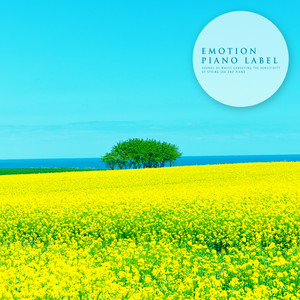 고요한 숲속에서 (In A Calm Forest) (Nature Ver.)