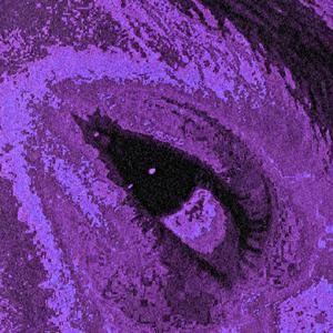 Girassois de Van Gogh (Explicit)