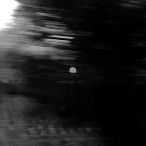 The fog is gone ,The light is come