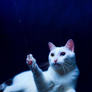 SEM LIMITE (Explicit)