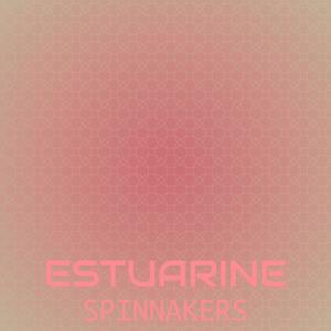 Estuarine Spinnakers