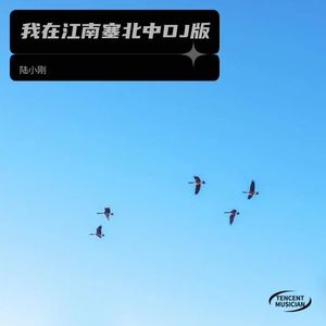 我在江南塞北中DJ版