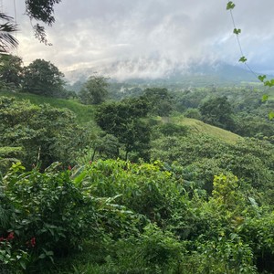 dozen(feat. 1dada4ever) (Explicit)