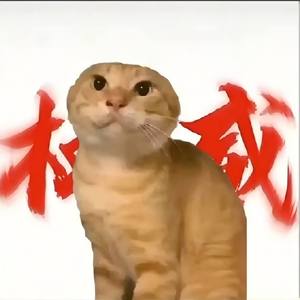 DJ小帆 - 瓦瓦刀马 (唉刀马刀马)