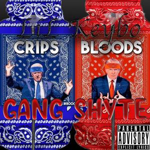 Gang Shyte (feat. Lil Keybo) [Explicit]