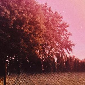 twilight (feat. All Falls Together)