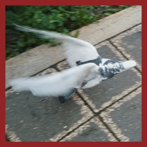 Bitte geh (Explicit)