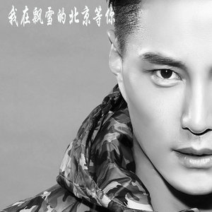 我在飘雪的北京等你