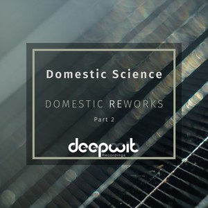 Rise of Vega (Domestic Science Re-Mixed)