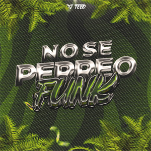 No Se (Remix)