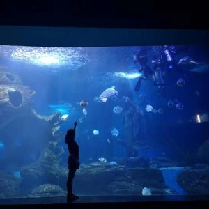 贝加尔湖畔 (性别版)