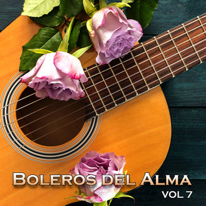 Boleros del Alma, Vol. 7