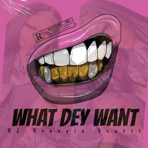 What Dey Want (feat. YL Youngin Brattt & SayYLGoDumbOnEm) [Explicit]