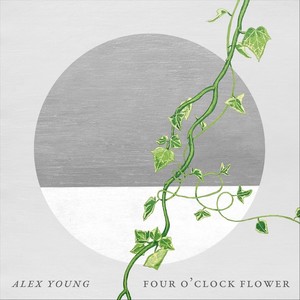 Four O'clock Flower