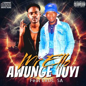 Awunge Vuyi (feat. Mr Ello)