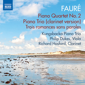 Piano Trio in D Minor, Op. 120 (version for clarinet, cello and piano) - I. Allegro ma non troppo