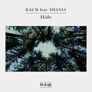 Hide (Radio Edit)