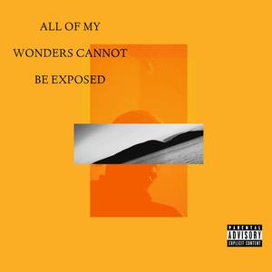 ALL OF MY WONDERS CANNOT BE EXPOSED (Explicit)