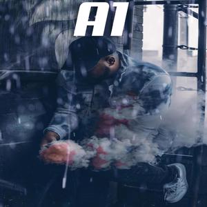 A1