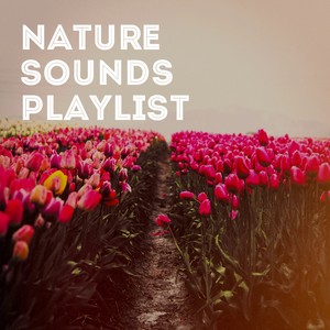 Nature Sounds Playlist