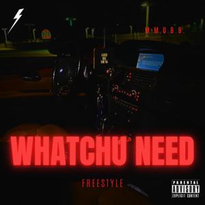 Whatchu Need (Explicit)