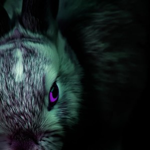 Until you find yourself