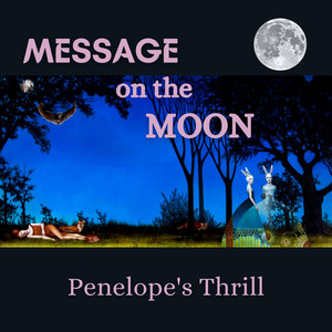 Message on the Moon