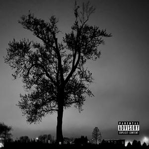 what is you seyin ? (feat. Seyin) (Explicit)