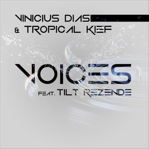 Voices (Original Mix)