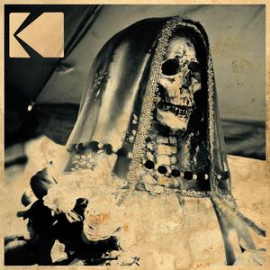 Burn US Flag on Flag Day