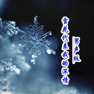 雪花代表我的深情DJ