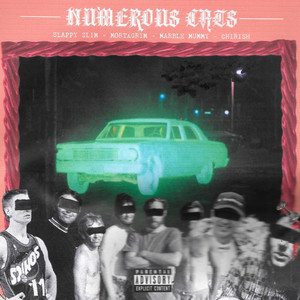 Numerous Cats (Explicit)