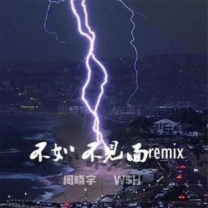 梁老师Tsong-不如不见面 (W$H. / 周晓宇 / 雍和 remix)