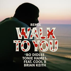 WALK TO YOU (feat. Brian Keith, Cool B & Tonie Hames) (Remix)