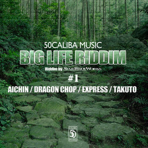 Various Artists - COME BABY COME