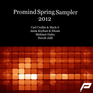 In Memory of Dreams (Original Mix)