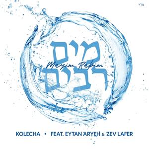 Mayim Rabim (feat. Eytan Aryeh & Zev Lafer)