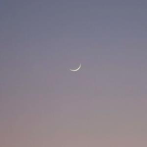 春