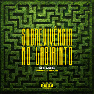 Sobrevivência no Labirinto